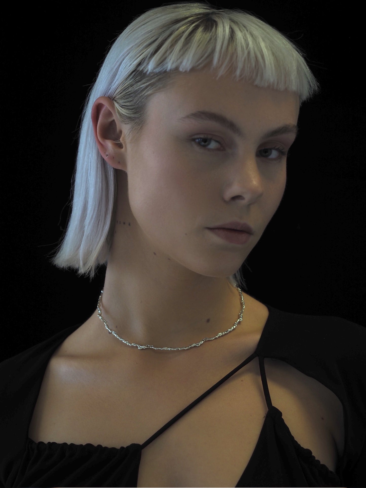 Ascaris Choker silver